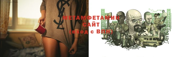 прущие грибы Балабаново