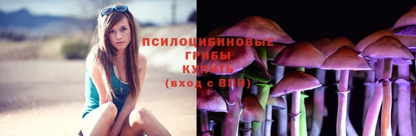 прущие грибы Балабаново