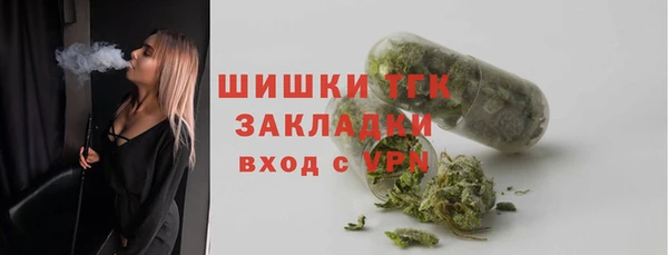 прущие грибы Балабаново
