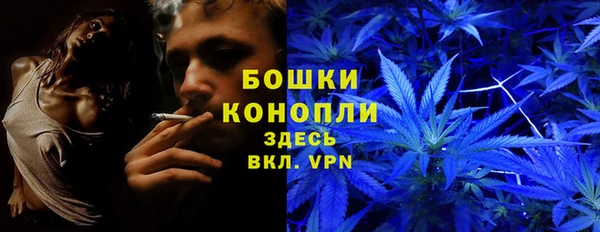 2c-b Белоозёрский