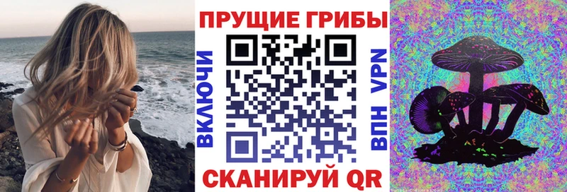 Галлюциногенные грибы GOLDEN TEACHER блэк спрут tor Шагонар